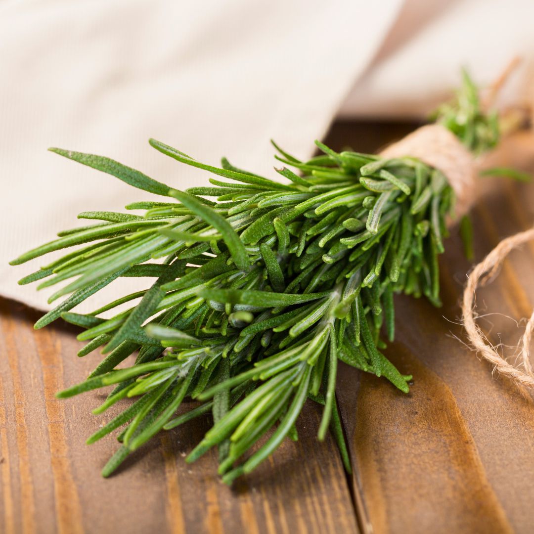 Fresh Rosemary at The Little Shop of Olive Oils